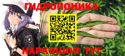 PSILOCYBIN Беслан