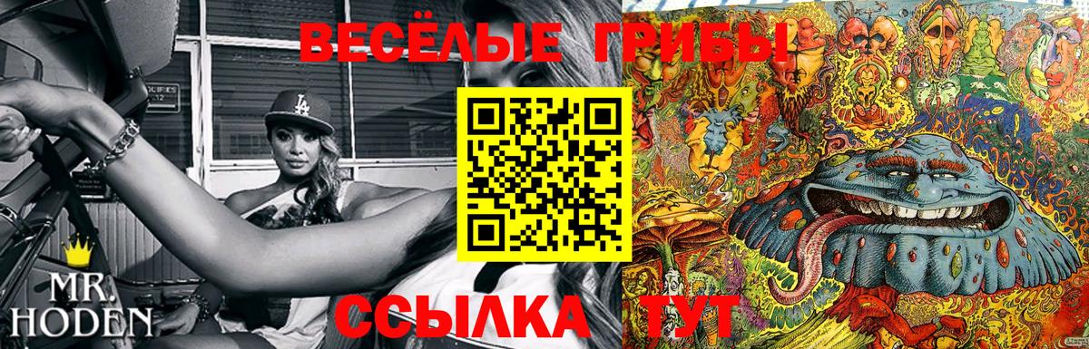 сколько стоит  Добрянка  Галлюциногенные грибы мицелий 