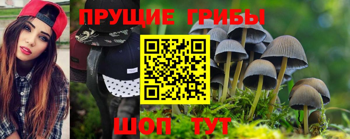 Псилоцибиновые грибы MAGIC MUSHROOMS Добрянка