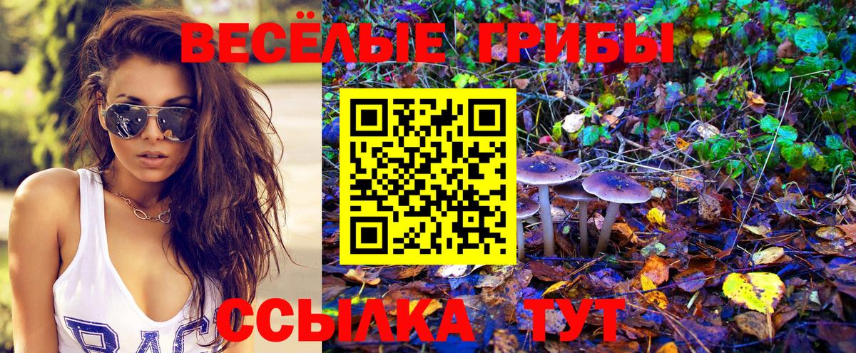 Добрянка  Псилоцибиновые грибы прущие грибы  Вход с VPN 